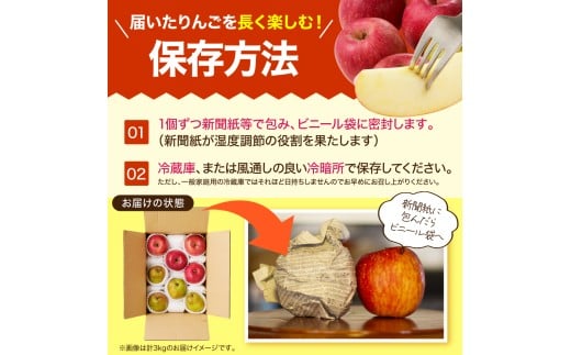 りんご様 北紅／きたくれない／あおり13＜リンゴの品種：旬の果物百科