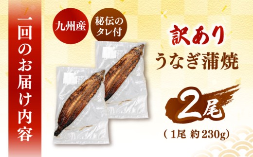 訳あり 鹿児島産 うなぎ 蒲焼 2尾セット