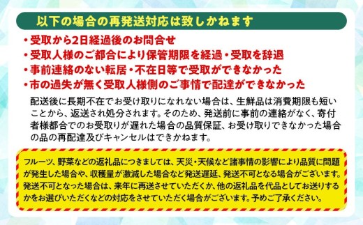 山形県鶴岡市のふるさと納税 【令和8年産先行予約】こだわりのさくらんぼ「佐藤錦」（Lサイズ以上）バラ詰め 500g いまいのさくらんぼ園 K-835