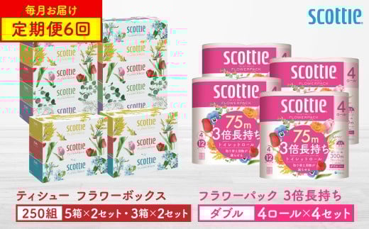 【定期便6回】【毎月お届け】【スコッティ】ティシュー フラワーボックス 250組（5箱パック×2セット・3箱パック×2セット）＋フラワーパック 3倍長持ち（4ロール(ダブル)パック×4セット）ティッシュ トイレットペーパー 日用品 ストック