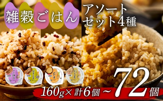 雑穀ごはん アソートセット 4種 160g 72個 十六雑穀 発芽玄米 玄米 もち麦 パックごはん パックご飯 ごはんパック ご飯パック パックライス パック 16雑穀 雑穀 米 ごはん ご飯 こめ ライス 備蓄 保存 防災 レンジ 温めるだけ レンチン 簡単 調理 健康 栄養 ダイエット 美容 レトルト インスタント 国産 セット 人気 おいしい 72 72食 おくさま印 大阪 松原 1384136 - 大阪府松原市