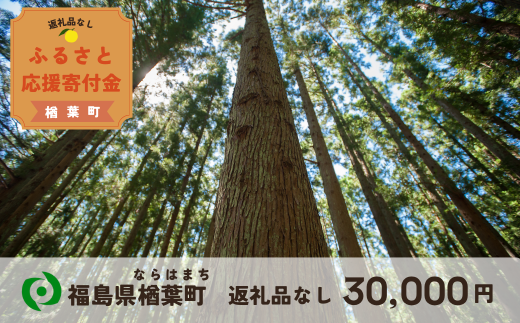 【返礼品なしの寄附】福島県楢葉町 30,000円 ［福島県 福島 楢葉町 寄附 おうえん 応援 しえん 支援 応援寄付金 寄付のみ 返礼品なし 返礼品なしの寄付 30,000円］