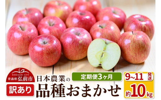 【25年9月発送】りんご 【定期便3ヶ月】平均糖度12.5度以上！ 訳あり品種おまかせ 約10kg 【9～11月】 3回分【先行受付】 青森 果物 フルーツ 林檎 リンゴ くだもの 不揃い 規格外 予約【レビューキャンペーン】 1033755 - 青森県弘前市