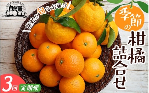 【 定期便３回】 みかん 自然塾 季節の柑橘詰合せ 柑橘 果物 旬 温州みかん 不知火 ポンカン カラマンダリン【szjk-tkb0002】