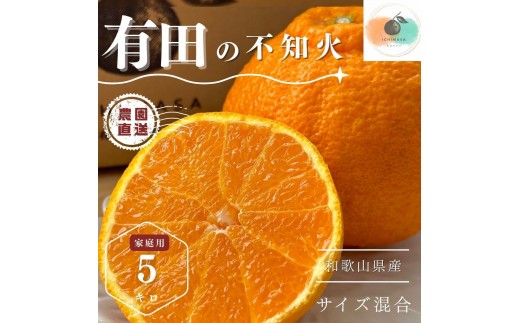 【ふるさと納税】【先行予約】 不知火 5kg 家庭用 サイズ混合 柑橘 フルーツ  産地直送 お取り寄せ 送料無料