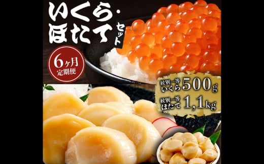 282-1 【定期便６か月】いくら醤油漬け500gほたて1.1kgセット×６回