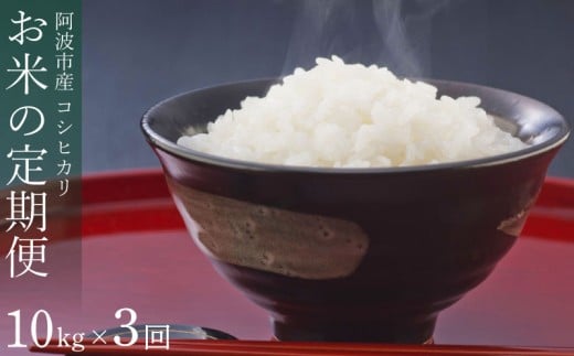 定期便 3回 米 コシヒカリ 10kg 令和7年産 米 こめ ご飯 ごはん おにぎり 白米 精米 卵かけご飯 食品 備蓄 備蓄米 保存 防災 ギフト 贈答 プレゼント お取り寄せ グルメ 送料無料 徳島県 阿波市 栗栖農園 1455714 - 徳島県阿波市