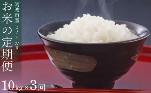 定期便 3回 米 ヒノヒカリ 10kg 令和7年産 米 こめ ご飯 ごはん おにぎり 白米 精米 新米 卵かけご飯 食品 備蓄 備蓄米 保存 防災 ギフト 贈答 プレゼント お取り寄せ グルメ 送料無料 徳島県 阿波市 栗栖農園 1455715 - 徳島県阿波市