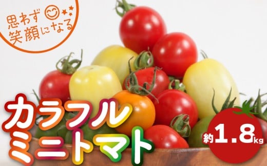 【先行予約】 カラフルミニトマト 約1.8kg ミニトマト トマト カラフルミニトマト プチトマト 野菜 国産 フラガール アイコ tomato サラダ 華小町 サングリーン サンオレンジ こだわり アレンジ レシピ ピザ カプレーゼ お弁当 千葉県 銚子市 ふるさと納税 ふるさと納税トマト とまりこ食堂 とまりこ Lindo tomaco farm 【2025年10月上旬-11月中旬頃発送予定】 2258506 - 千葉県銚子市