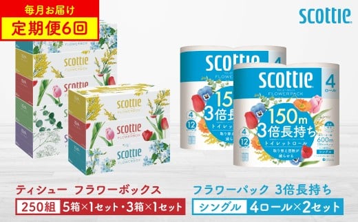 【定期便6回】【毎月お届け】【スコッティ】 ティシュー フラワーボックス 250組（5箱パック×1セット・3箱パック×1セット）＋フラワーパック 3倍長持ち（4ロール(シングル)パック×2セット）ティッシュ トイレットペーパー 日用品 ストック