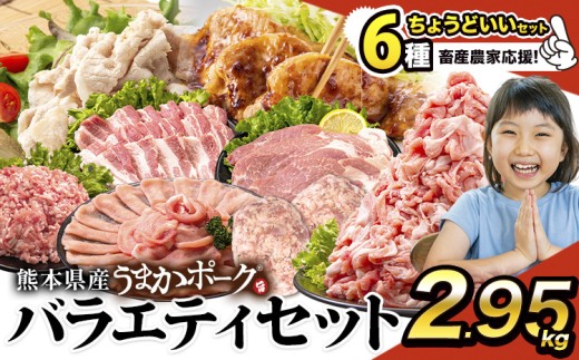 豚肉 うまか ポーク バラエティ セット 豚肉 しゃぶしゃぶ 切り落とし 豚ロース バラ 豚バラ スライス 【ちょうどいい】約2.95kg  以上 定期便 真空 お楽しみセット 不揃い 数量限定 簡易包装 冷凍配送 小分け 《9月上旬-9月末頃出荷》 豚肉 1386338 - 熊本県大津町