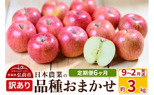 【25年9月発送】りんご【定期便6ヶ月】平均糖度12.5度以上！ 訳あり品種おまかせ 約3kg 【9月～2月】 6回分【先行受付】 青森 果物 フルーツ 林檎 リンゴ くだもの 不揃い 規格外 予約【レビューキャンペーン】 2169050 - 青森県弘前市