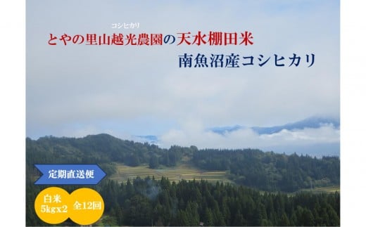 【令和7年産新米予約】【定期便】とやの里山越光農園「天水棚田米」南魚沼塩沢産コシヒカリ　精米10kg(5kgx2)x全12回【2025年12月下旬より順次発送予定】