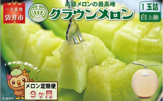 【9ヶ月定期便】クラウンメロン（白上級）1玉入 メロン デザート グルメ 果物 フルーツ 季節の果物 スイーツ 袋井市 静岡県