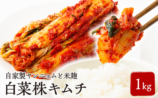 中辛　白菜株キムチ1kg【1634999】 2181977 - 大阪府太子町