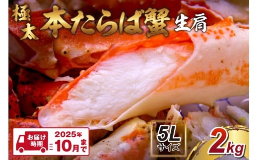 【2肩2kgの極太5Lサイズ】本たらば蟹 生肩 2kg  【2025年10月までの発送】1肩 約1kg 本タラバ シュリンク 生 蟹の丸山 たらば蟹 生【087B-021】 2066342 - 大阪府泉南市