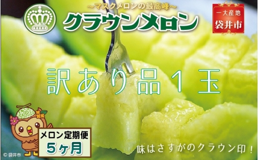 【5ヶ月定期便】クラウンメロン（訳あり）1玉入 メロン デザート グルメ 果物 フルーツ 季節の果物 スイーツ 袋井市 静岡県