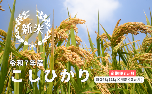 150258【令和7年産／お米定期便／3ヵ月】しまね川本 こしひかり 2kg×4袋 (計24kg） 1455903 - 島根県川本町