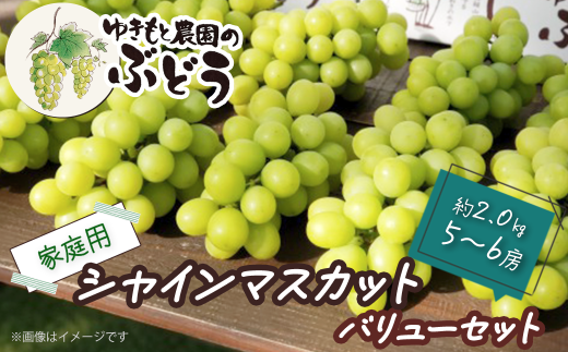 ※画像はイメージです。画像上の房数は実際の容量とは異なります。