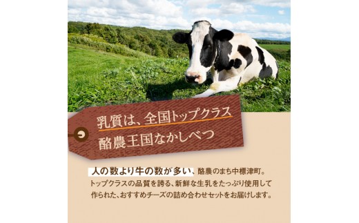 北海道 なかしべつ オリジナルチーズセット1.38kg