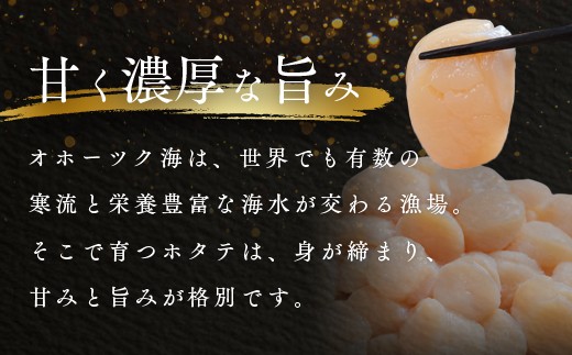 北海道遠軽町のふるさと納税  寄付金額18,000円→17,000円に値下げ　オホーツク海産ホタテ貝柱1kg ( ふるさと納税 北海道産 ほたて ホタテ貝柱 刺身 冷凍 貝 海鮮 お取り寄せグルメ 北海道 遠軽町 ) en01-00069