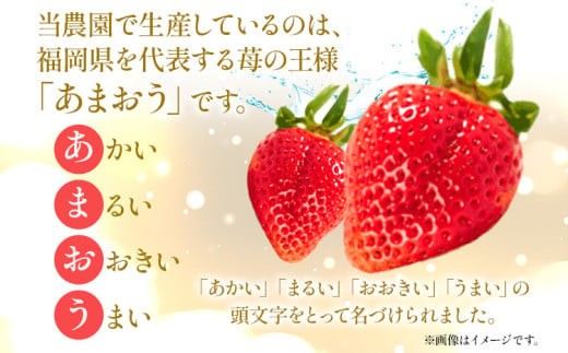 【今年も始まりました✨】青森県産　大玉夏イチゴ　4kg　いちご　訳あり　加工用 今年も始まりました✨】青森県産 大玉夏イチゴ 2kg いちご 訳
