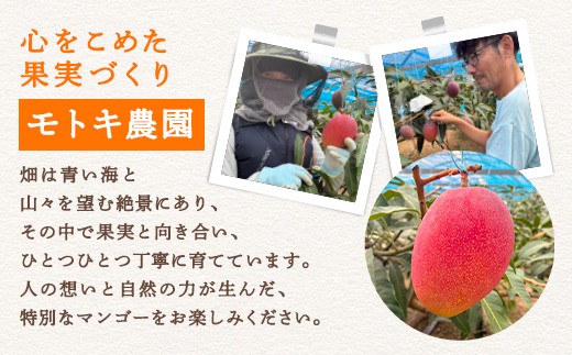 モトキ農園さんが心を込めて育てました。