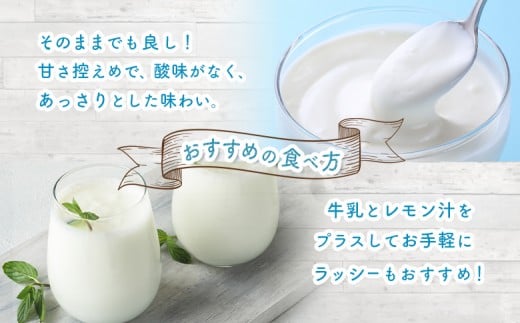 【定期便：全3回】なかしべつヨーグルト 100g×12個