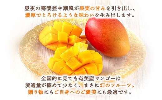 奄美大島産のマンゴーは贈り物にもご自身へのご褒美にも最適です。