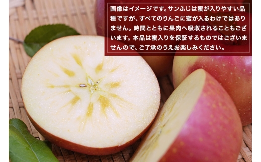 青森県弘前市のふるさと納税 【25年11月～発送】りんご 平均糖度13度以上！ 葉とらずサンふじ 約5kg おもてなし用【先行受付】 青森 果物 フルーツ 林檎 リンゴ くだもの 予約【レビューキャンペーン】