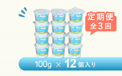 【定期便：全3回】なかしべつヨーグルト 100g×12個