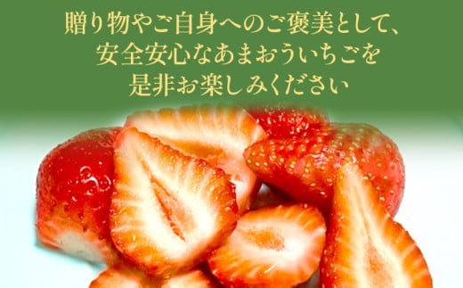 【今年も始まりました✨】青森県産　大玉夏イチゴ　4kg　いちご　訳あり　加工用 たっぷり勝占いちご2kg大特価セール : いちご農家 西岡産業