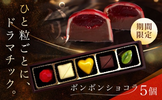 【ホワイトデー着日指定】ボンボンショコラ 5個入り / チョコ チョコレート ちょこれーと お土産 お菓子 バレンタイン / 南島原市 / 本田屋かすてら本舗 [SAW031] 1338041 - 長崎県南島原市