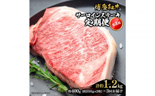博多和牛 サーロインステーキ 定期便全3回 計約1.2kg(約400g(約200g×2)×3回) 2101067 - 福岡県大川市