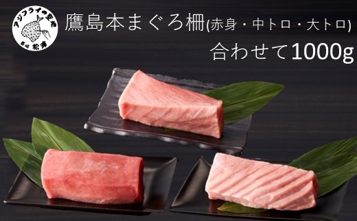 鷹島産本まぐろ柵(赤身・中トロ・大トロ) 合わせて1000g( マグロ まぐろ 赤身 中トロ 大トロ 本まぐろ 手軽 おつまみ 柵 流水解凍 )【E2-014】