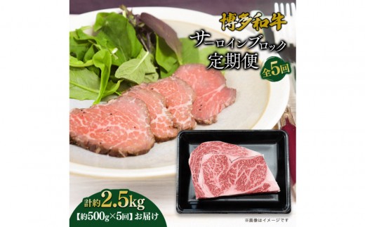 博多和牛 サーロインブロック 定期便全5回 計約2.5kg(約500g×5回)
