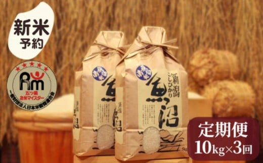 【新米予約】令和７年産「五つ星お米マイスター」の南魚沼産コシヒカリ　精米10kg（５kg×２個）×３回（毎月定期便）【2025年10月上旬より順次発送予定】