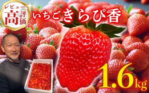 いちご 予約受付 【2026年1月から出荷】 新鮮 国産 鈴木農園の朝摘み 朝どれ きらぴ香 1.6kg 800 g × 2 パック デザート フルーツ イチゴ 苺 おいしい 贈り物 果物 ストロベリー 甘い 朝摘み 果物 いちご くだもの スイーツ デザート ストロベリー おやつ 完熟 直送 ギフト 贈答用 贈答 ギフト ビタミン ベリー 産地直送 国産 おすすめ 静岡県 牧之原市 鈴木農園 736766 - 静岡県牧之原市