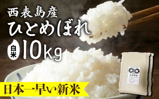 新米ひとめぼれ(白米)10kg【米・白米・新米・ひとめぼれ】