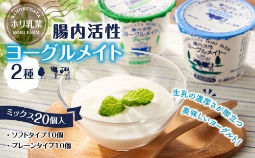 【レビューキャンペーン実施中】【ホリ乳業】腸内活性 ヨーグルメイト 2種ミックス20個入  石川 金沢 加賀百万石 加賀 百万石 北陸 北陸復興 北陸支援 716089 - 石川県金沢市