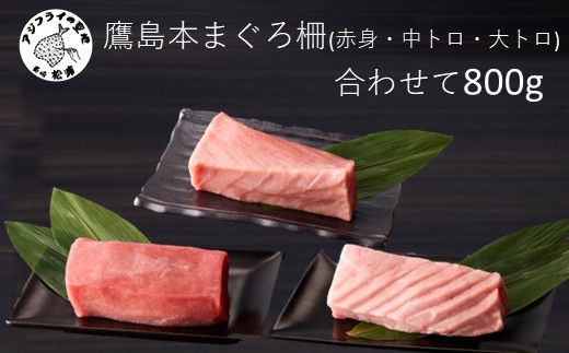 鷹島産本まぐろ柵(赤身・中トロ・大トロ) 合わせて800g( マグロ まぐろ 赤身 中トロ 大トロ 本まぐろ 手軽 おつまみ 柵 流水解凍 )【D3-013】