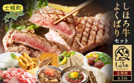  定期便 北海道 よくばりセット 全3回 しほろ牛 牛丼 牛肉まん コンビーフ カムカムステーキ ハンバーグ メンチカツ リオナソーセージ フライドポテト サーロイン 牛肉切り落とし アイスクリーム 総菜 冷凍 詰合せ お取り寄せ 送料無料 十勝 士幌町 50000円【L903】