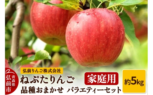 【25年9月～発送】りんご ねぷたりんご バラエティーセット 家庭用 約5kg 【品種おまかせ】【レビューキャンペーン】 1208753 - 青森県弘前市