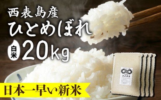 新米ひとめぼれ(白米)20kg【米・白米・新米・ひとめぼれ】