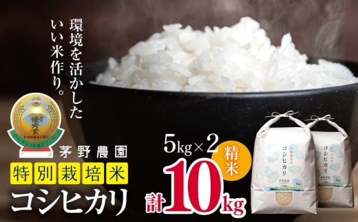 * 【令和7年度産先行予約】コシヒカリ 10kg 特別栽培米  | 米 こめ コメ お米 白米 はくまい 精米 コシヒカリ 特別栽培米 栽培米 優秀賞 金賞 長野県 松川村 信州 903557 - 長野県松川村