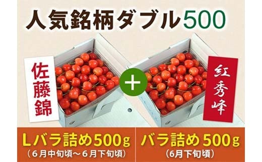 《先行予約 2026年度発送》【頒布会】さくらんぼ人気銘柄ダブル500（佐藤錦秀品Lサイズ&紅秀峰秀品2Lサイズ） FSY-0155 524304 - 山形県山形県庁