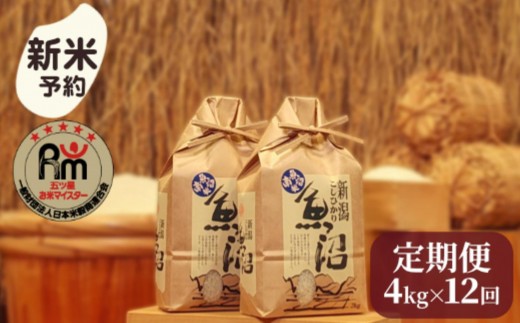 【新米予約】令和７年産「五つ星お米マイスター」の南魚沼産コシヒカリ　精米４kg（２kg×２個）×12回（毎月定期便）【2025年10月上旬より順次発送予定】 1391753 - 新潟県南魚沼市