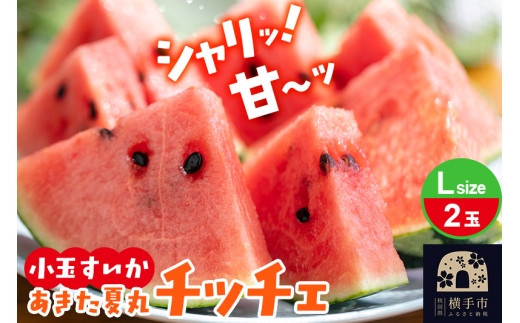 秋田県産　小玉スイカ　秋田夏丸チッチェ 小玉すいか『あきた夏丸チッチェ』秋田県産 約2.1kg～2.7kg×1玉