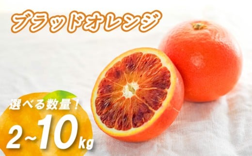 【2026年1月下旬より発送】ブラッドオレンジ 2kg/5kg/10kg | 数量選択可 みかん ミカン 蜜柑 柑橘 数量限定 愛媛県産 松山市 中島 低農薬 愛媛 送料無料