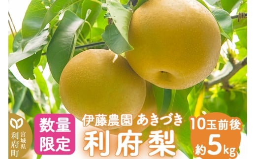 数量限定 利府梨（あきづき）5kg（10玉前後）伊藤梨園 梨の名産地 宮城県利府町産